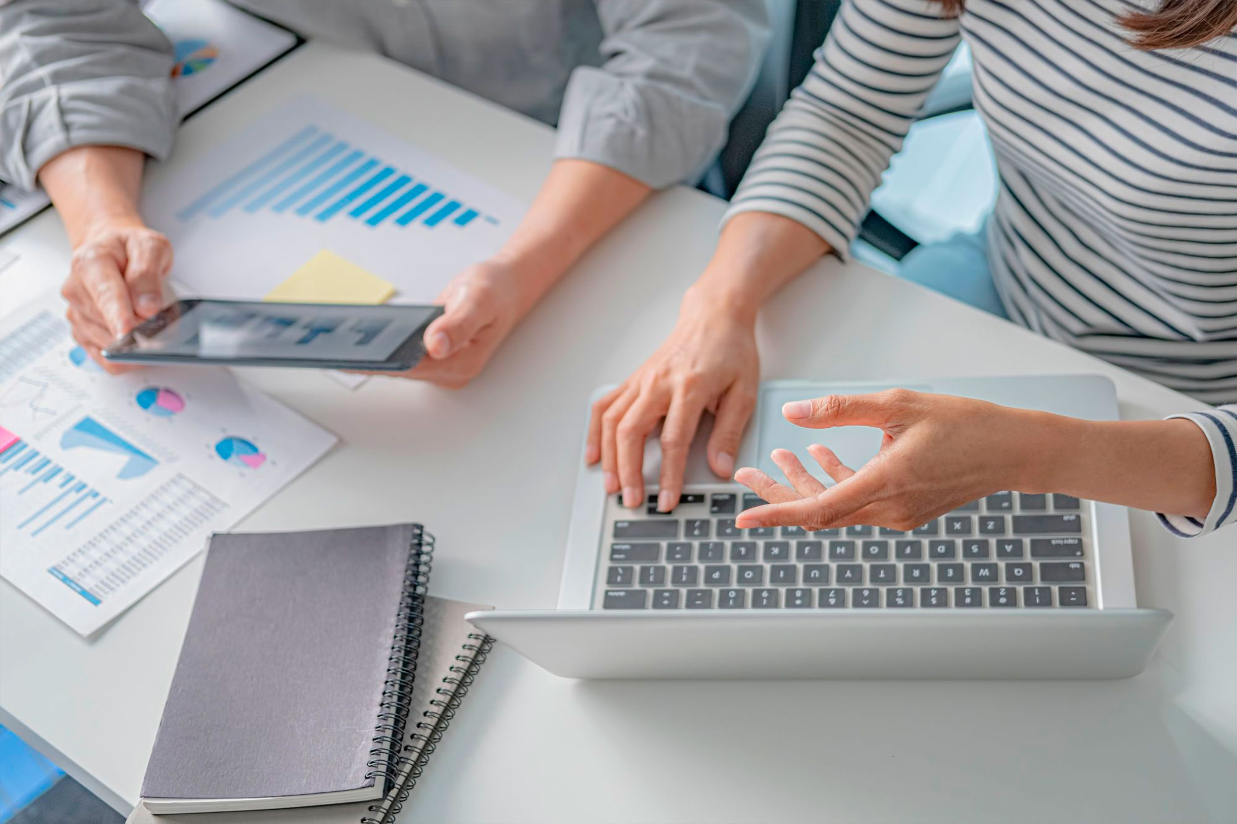 RENDIBILITAT TERRA BLANCA