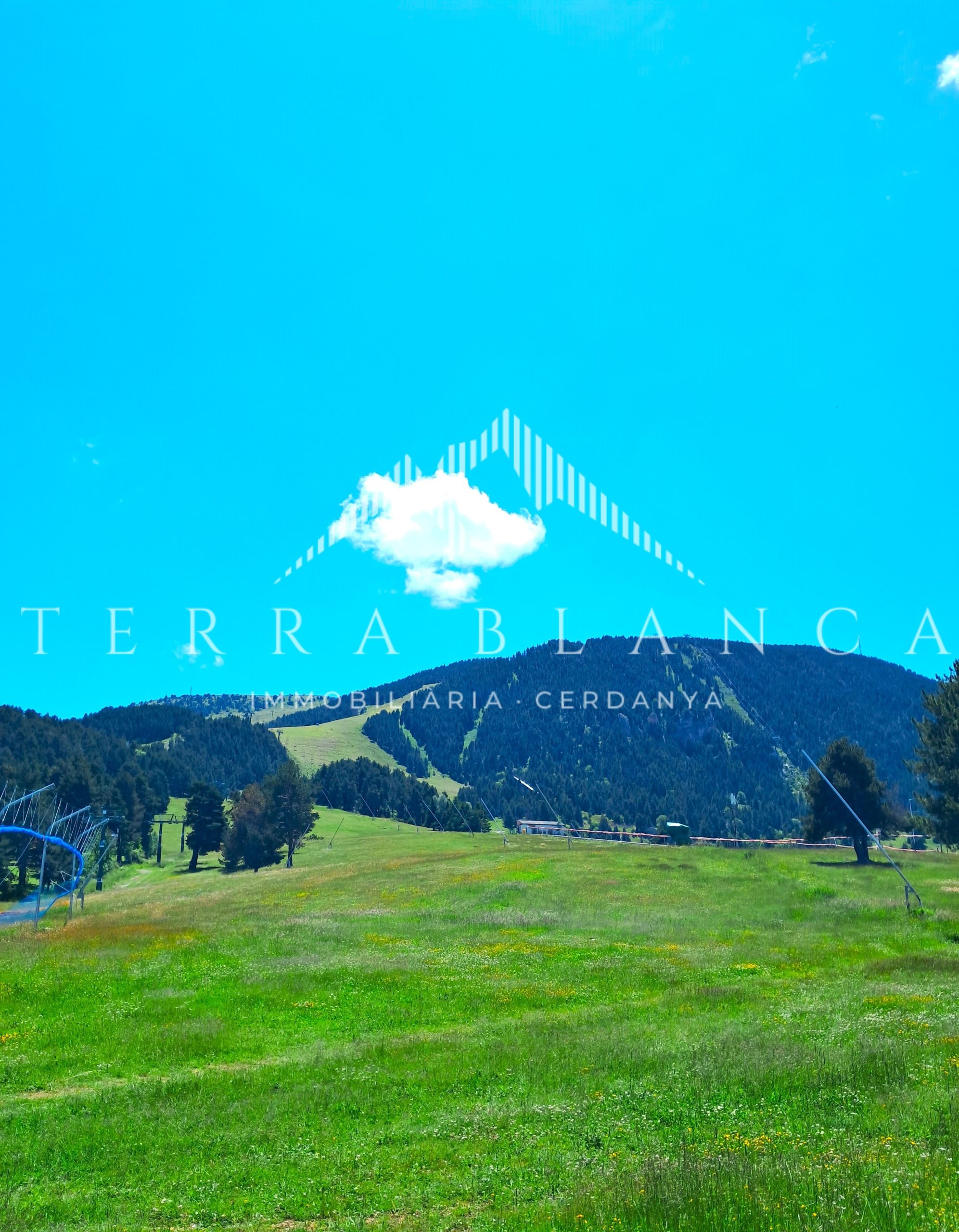 ficha portada terreny 2 scaled