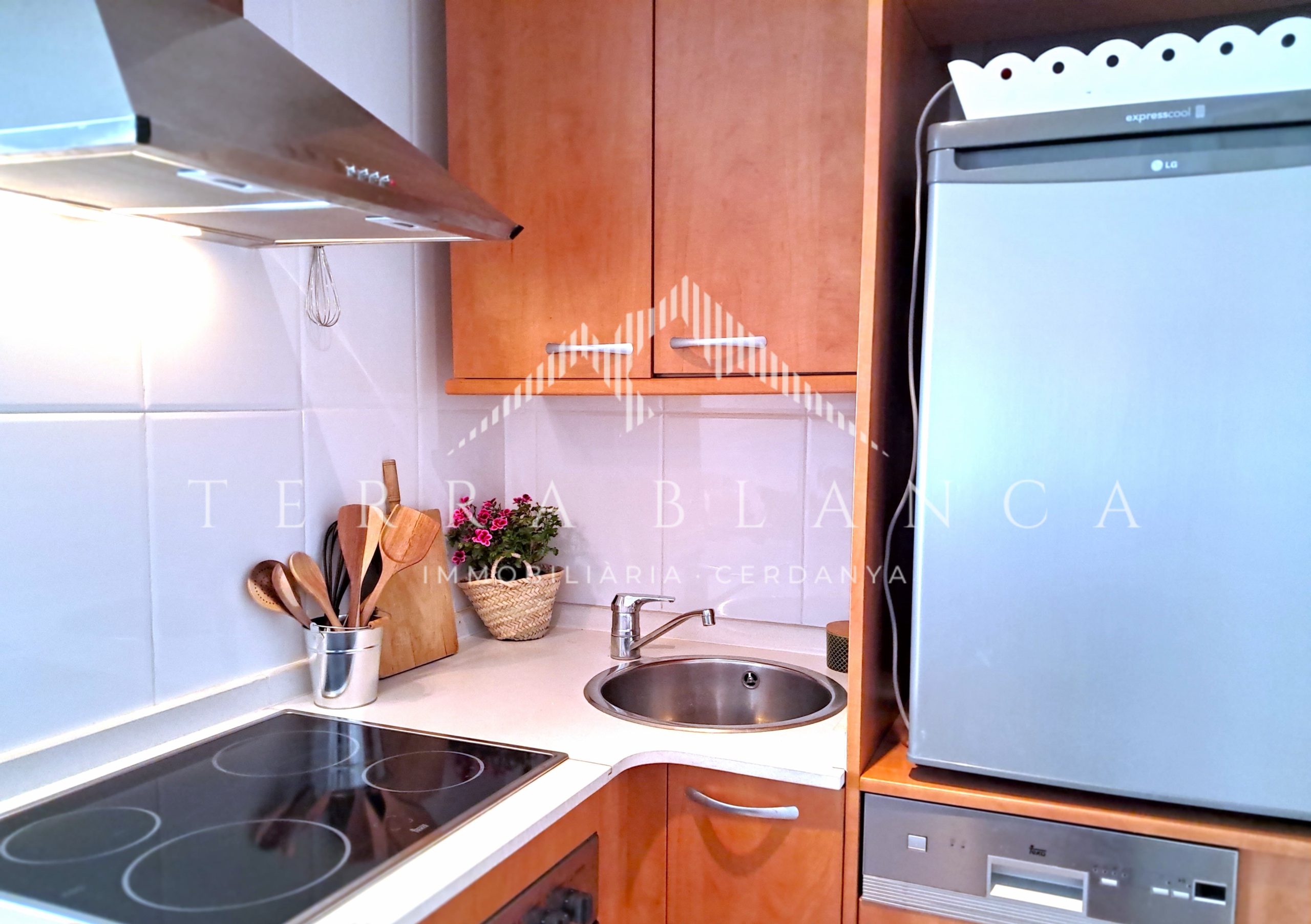 Inmuebles en Puigcerdà inmobiliaria Terra Blanca