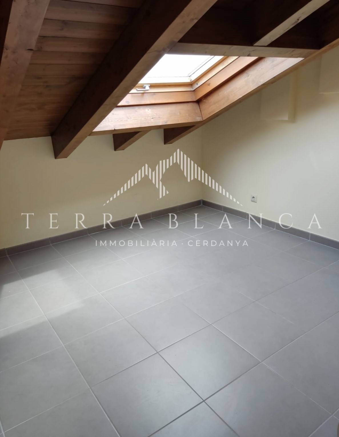 Inmuebles en Puigcerdà inmobiliaria Terra Blanca