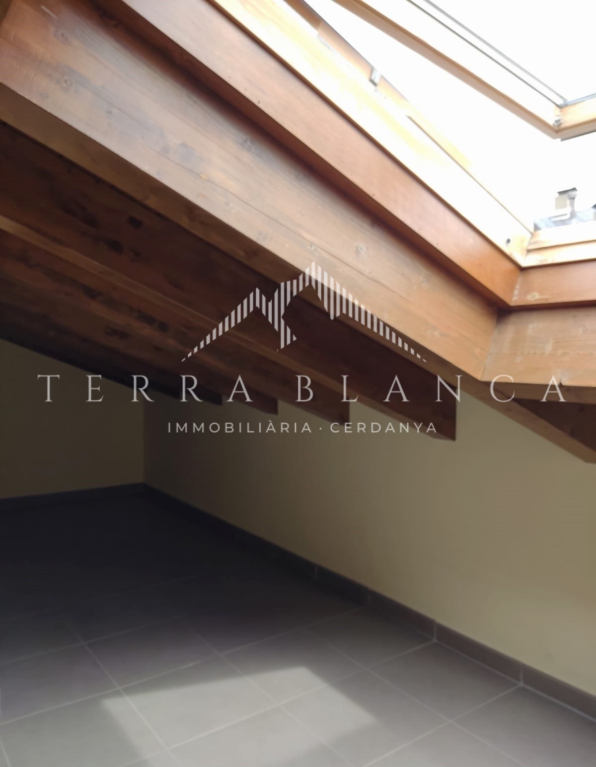 Propiedades destacadas Terra Blanca Cerdanya