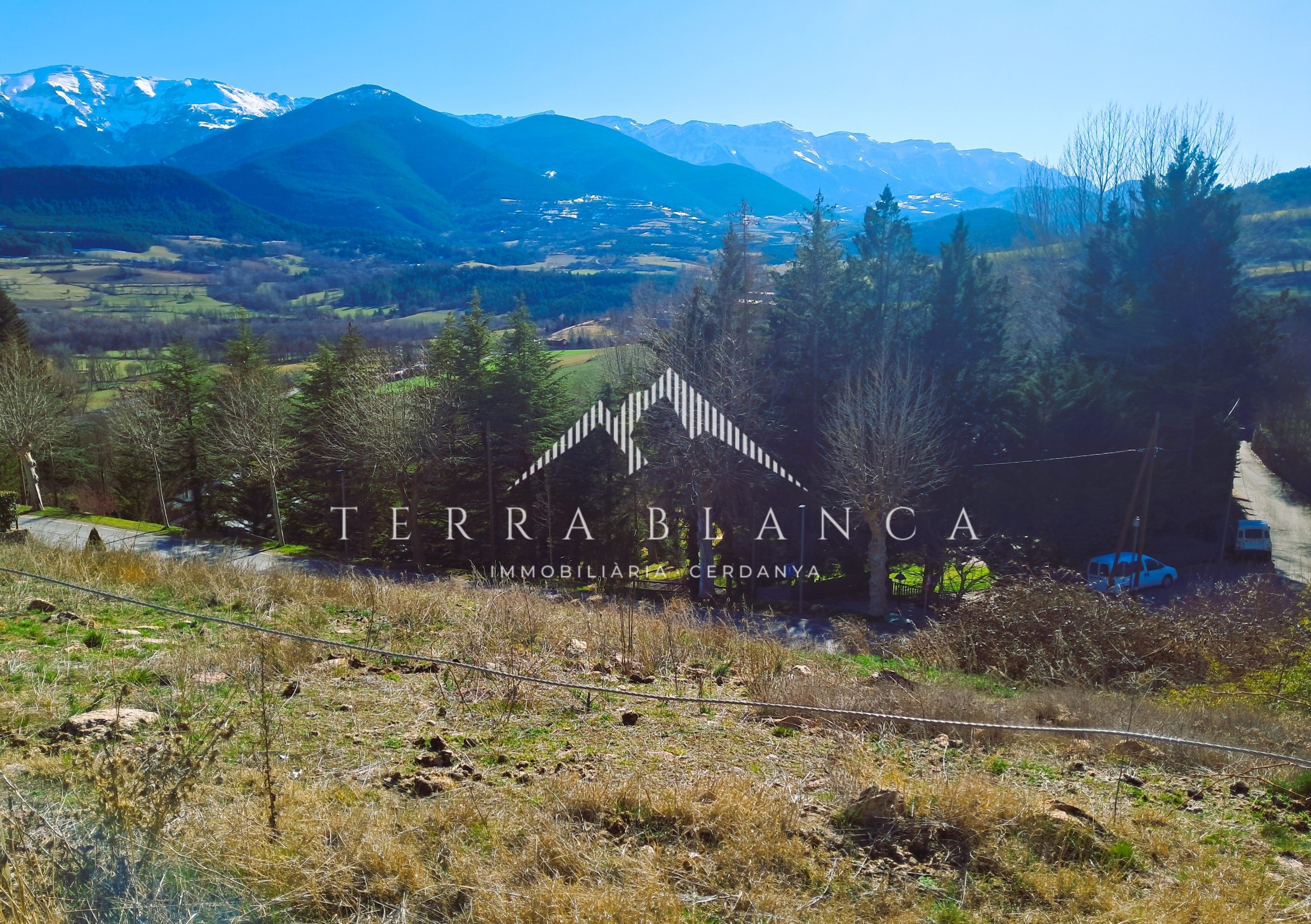 20240313 160104 scaled