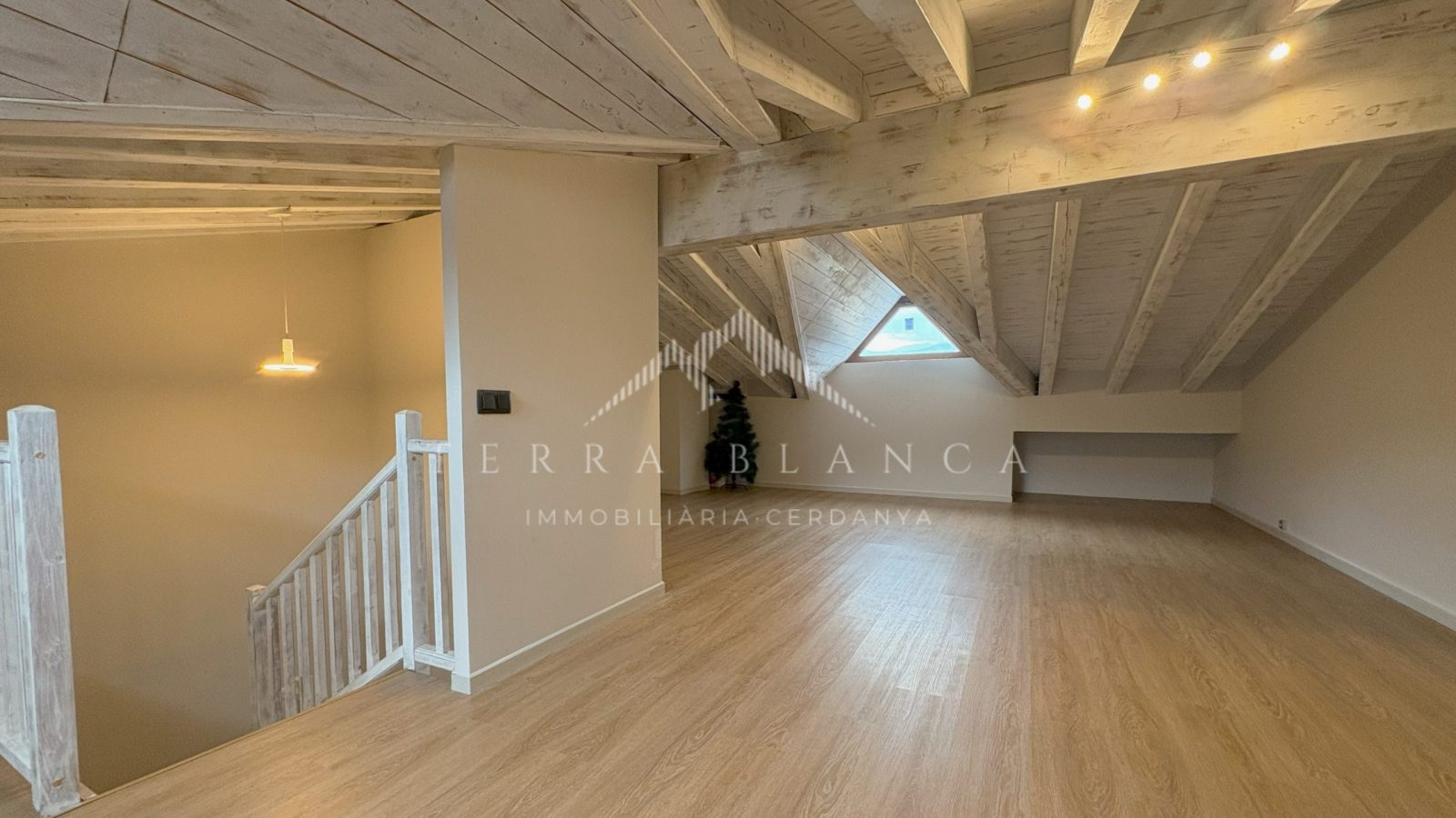 Apartamentos en Alp inmobiliaria Terra Blanca