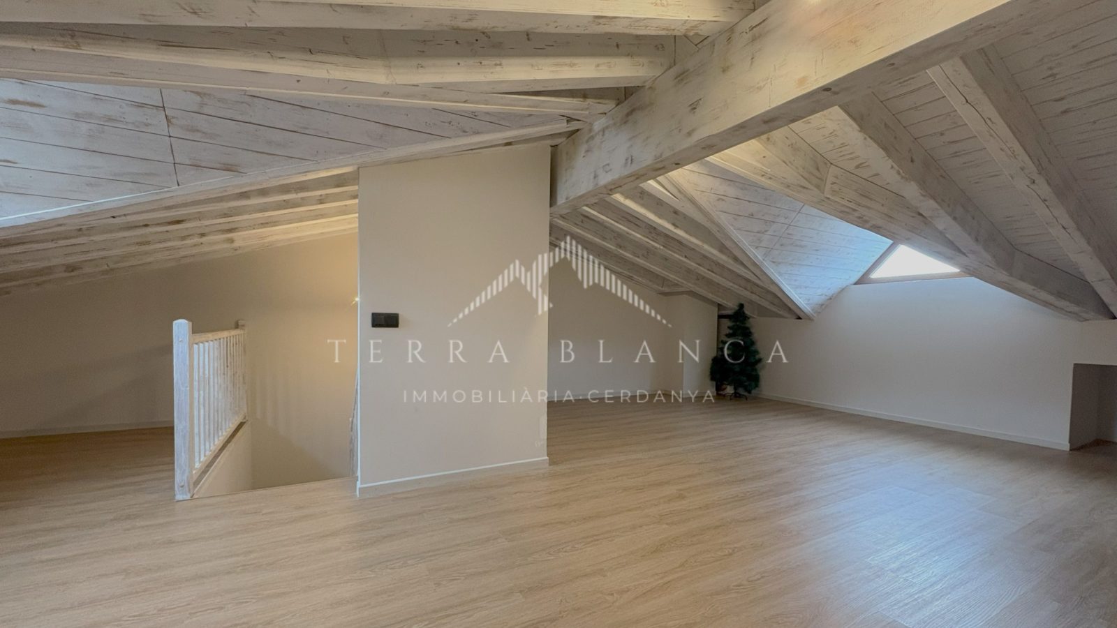 Chalets en la Cerdanya Terra Blanca