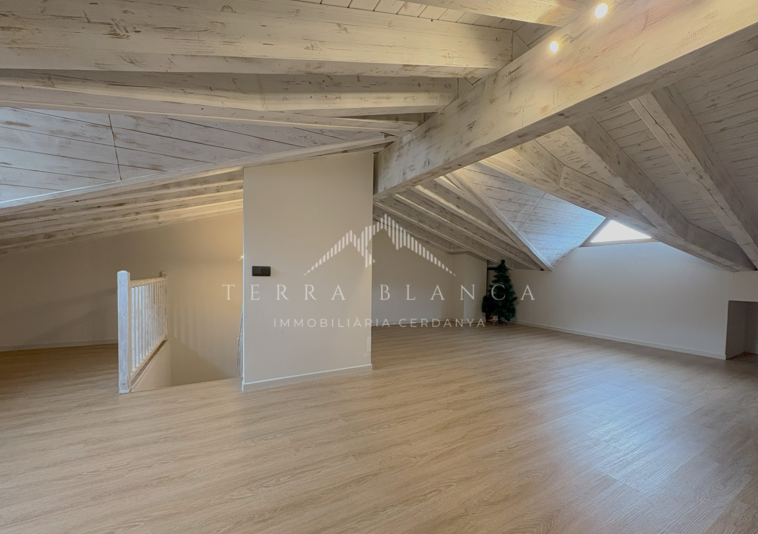 Propiedades inmobiliarias Terra Blanca Cerdanya